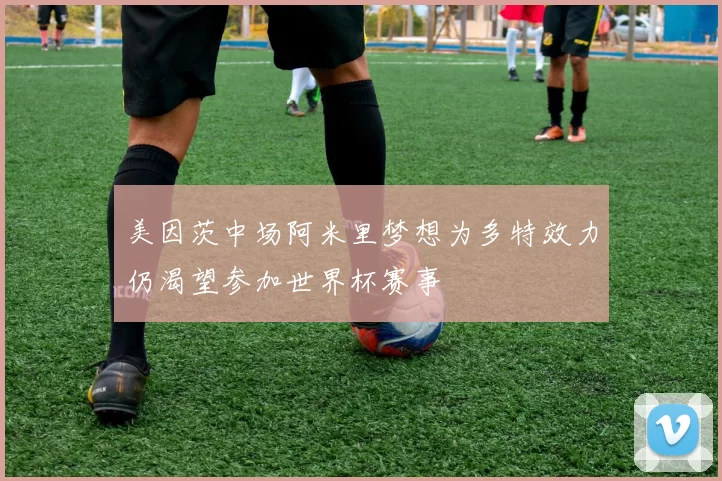 美因茨中场阿米里梦想为多特效力仍渴望参加世界杯赛事